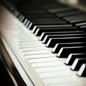 殴美大荫蒂女人视频
